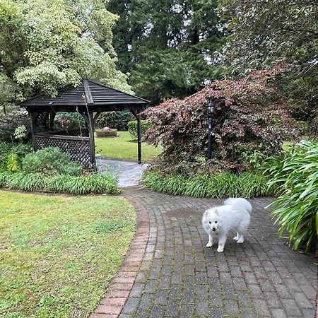 Garden Paradise In Rotorua With Pool Exteriör bild