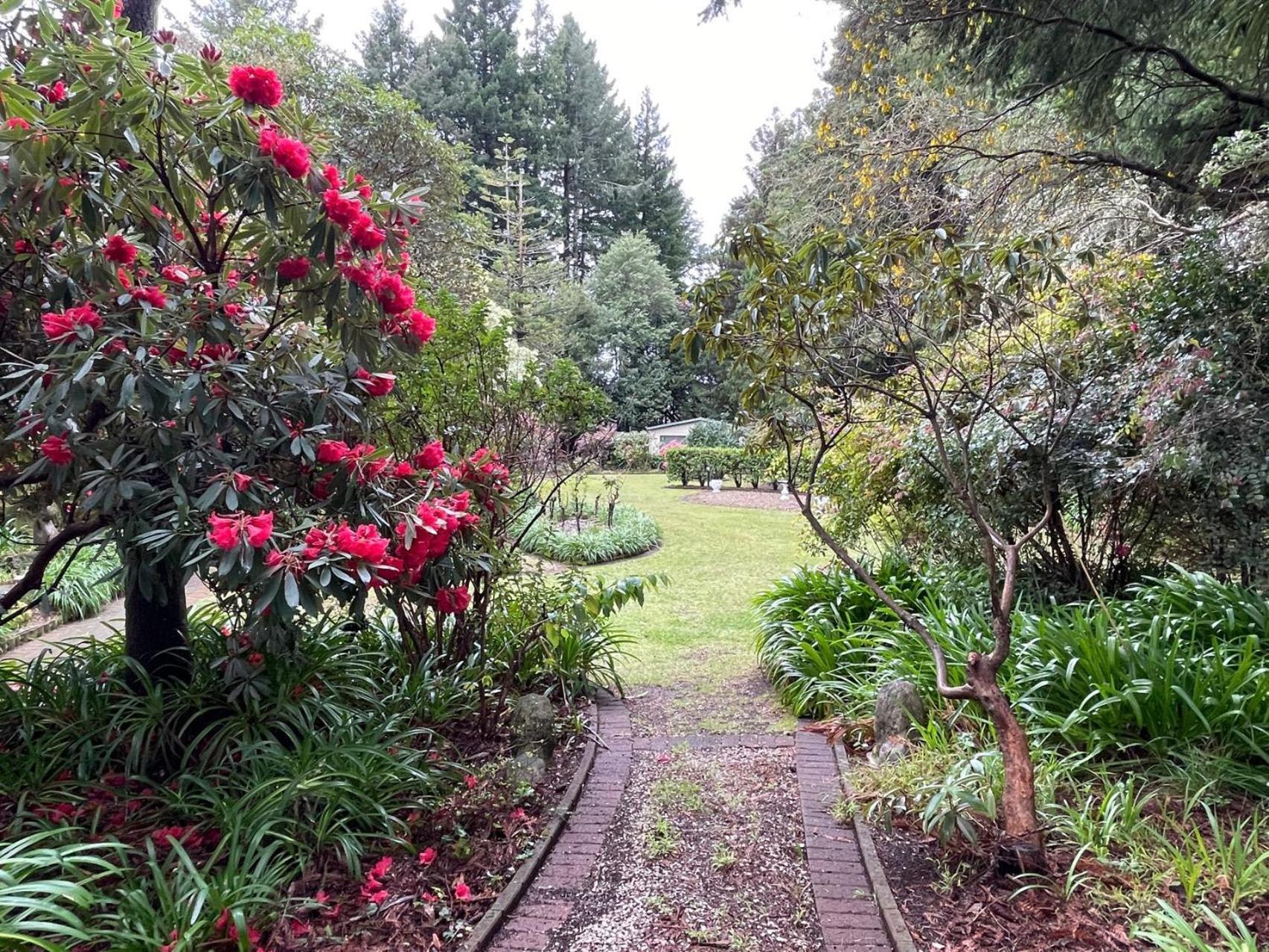 Garden Paradise In Rotorua With Pool Exteriör bild